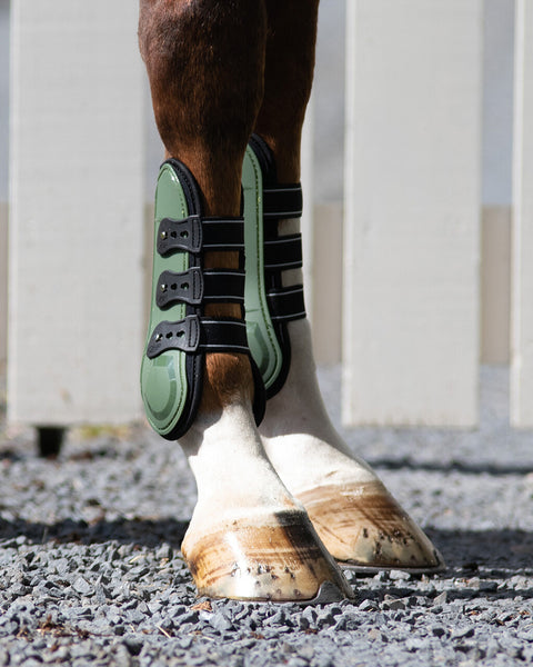 QHP Champion Tendon Boots - EveryDay Equestrian