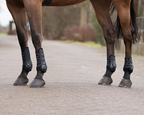 QHP Champion Tendon Boots - EveryDay Equestrian