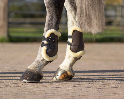 QHP Ontario Fetlock Boots - EveryDay Equestrian