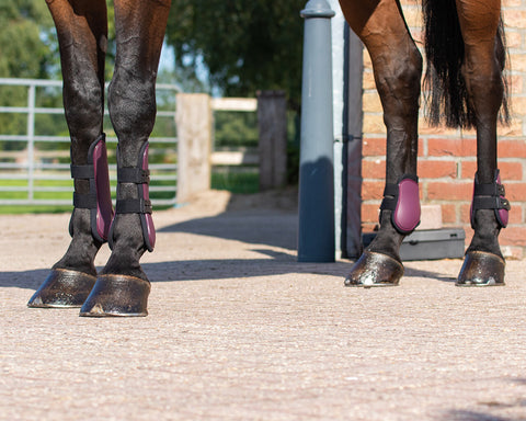 QHP Tendon Boot Set - EveryDay Equestrian