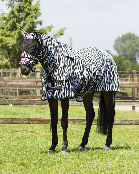 QHP Fly Rug with Neck and Hood - EveryDay Equestrian