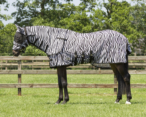 QHP Fly Rug with Neck and Hood - EveryDay Equestrian