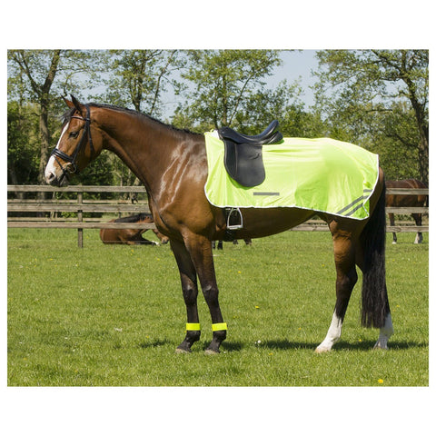 QHP Reflective Exercise Sheet - EveryDay Equestrian