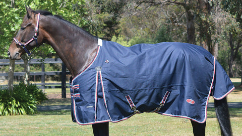 Zilco Defender Heavy Winter Rug - EveryDay Equestrian