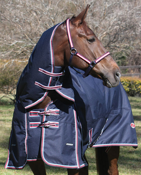 Zilco Defender Heavy Combo Winter Rug - EveryDay Equestrian