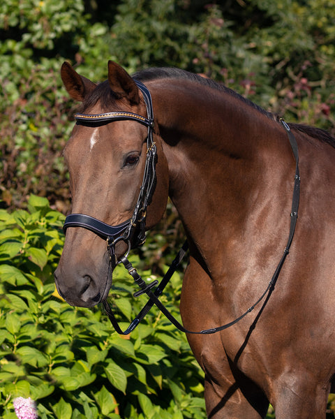 QHP Devi Bridle - EveryDay Equestrian