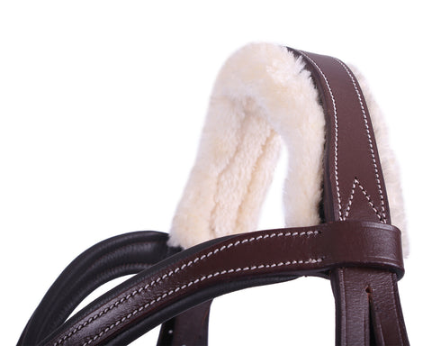 QHP Ontario Bridle - EveryDay Equestrian