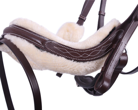 QHP Ontario Bridle - EveryDay Equestrian