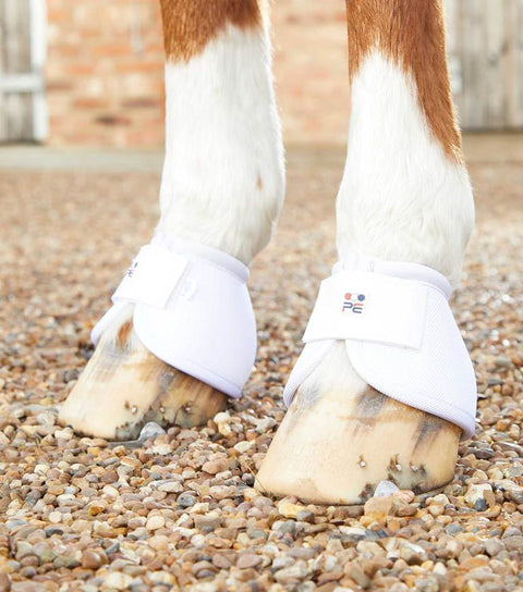 PEI Ballistic No Turn Over Reach Boots - Everyday Equestrian