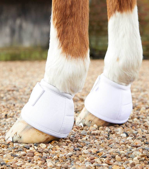 PEI Ballistic No Turn Over Reach Boots - Everyday Equestrian