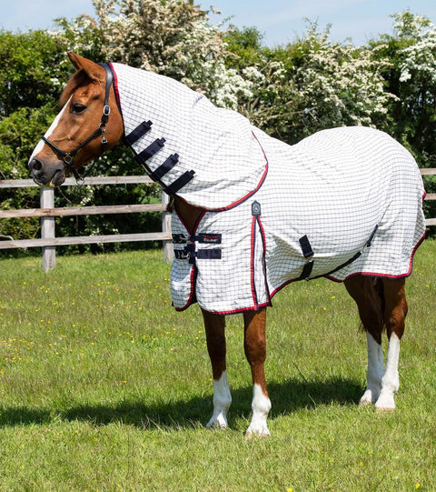 PEI Cotton Combo - EveryDay Equestrian