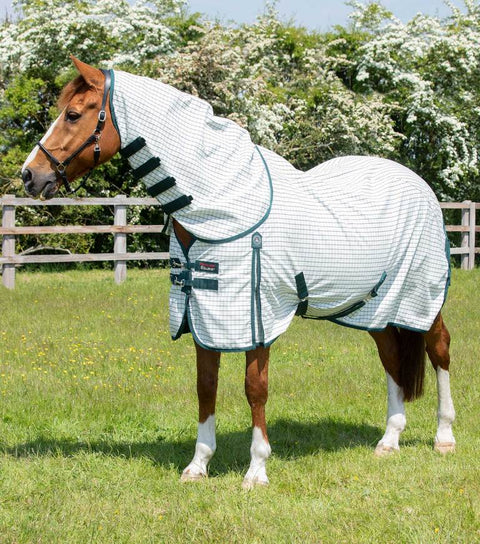 PEI Cotton Combo - EveryDay Equestrian