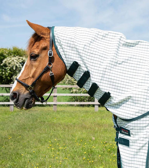 PEI Cotton Combo - EveryDay Equestrian