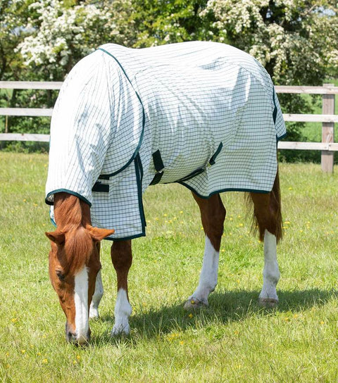 PEI Cotton Combo - EveryDay Equestrian