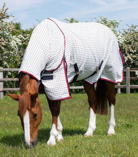 PEI Cotton Combo - EveryDay Equestrian