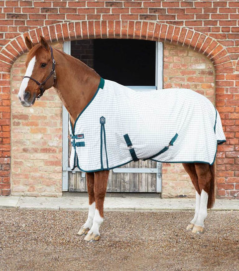 PEI Cotton Sheet - EveryDay Equestrian