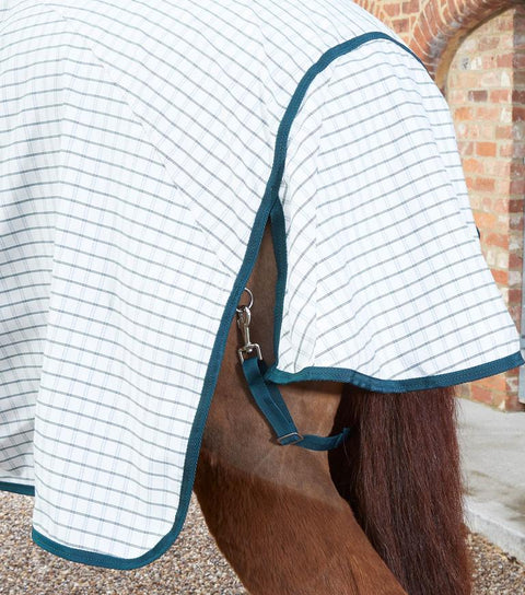 PEI Cotton Sheet - EveryDay Equestrian