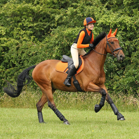 Hy-Sport-Active-Base-Layer - Everyday Equestrian