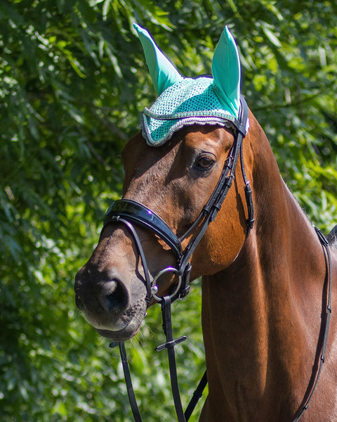QHP Colour Ear Bonnet - EveryDay Equestrian