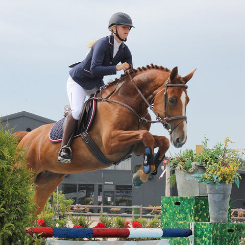 QHP Competition Jacket Coco Adult - EveryDay Equestrian