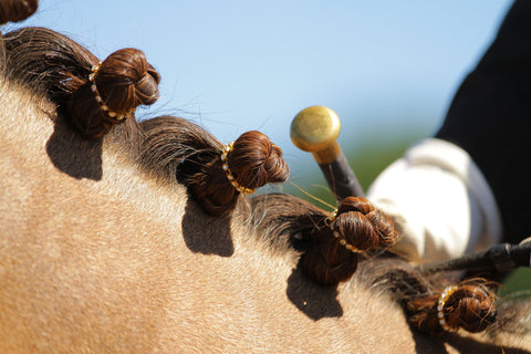 Spiced Rhinestone Horse Braid/Plaiting Bands