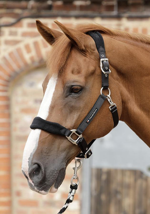 Premier Equine Fleece Padded Halter - EveryDay Equestrian