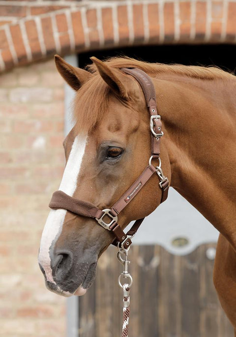 Premier Equine Fleece Padded Halter - EveryDay Equestrian