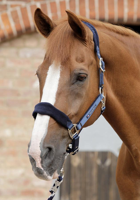 Premier Equine Fleece Padded Halter - EveryDay Equestrian