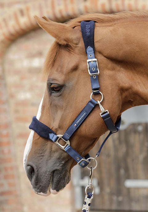 Premier Equine Fleece Padded Halter - EveryDay Equestrian