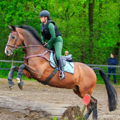 Mrs. Ros Charmer AP Saddle Pad