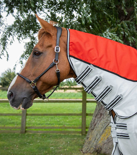 PEI ShowerTex Fly Rug with Surcingles