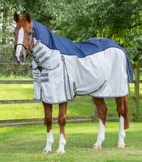 Horse Rugs and Accessories