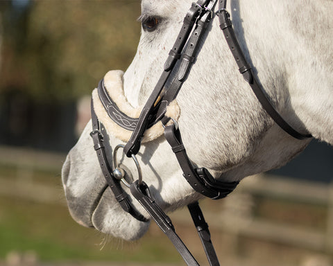 Leather Bridles & Reins