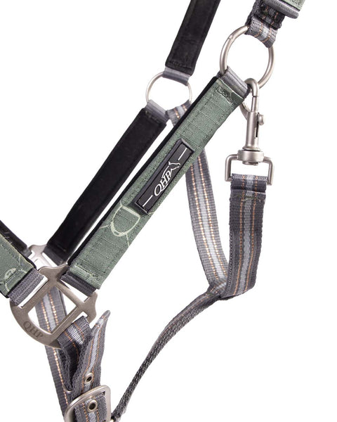 QHP Halter & Lead Rope - Turnout Collection