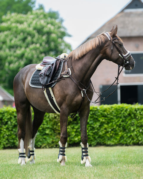 QHP Ontario Breastplate - EveryDay Equestrian