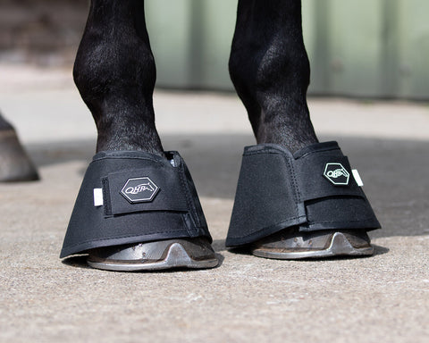 QHP Aqua Bell Boots - EveryDay Equestrian