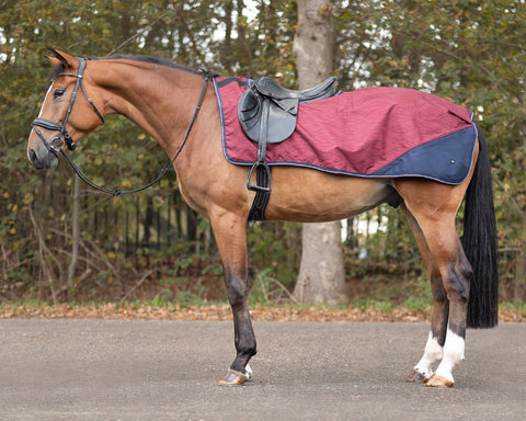 QHP Exercise Sheet with Fleece Lining - Cherry & Cloudburst Collection