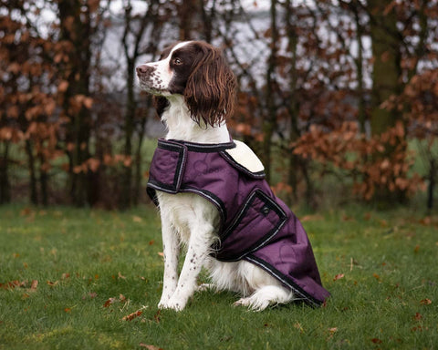 QHP Dog Turnout Rug - Cherry & Cloudburst Collection