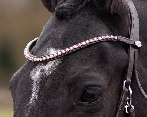 QHP Sunna Multi-functional Bitless Bridle