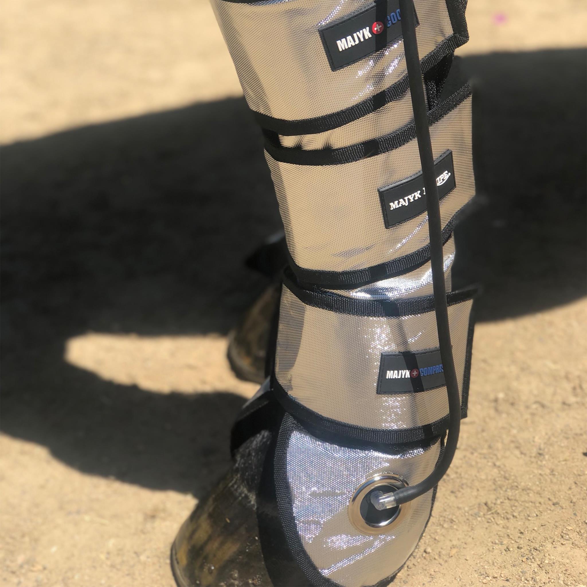 Horse hot sale compression boots