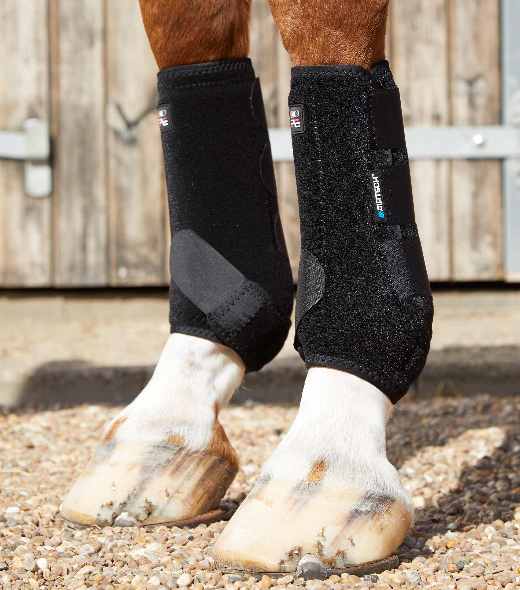 Equine tendon boots best sale