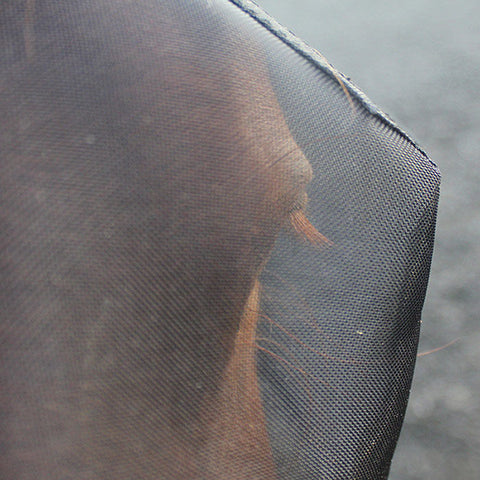 Woof Wear Fly Mask - EveryDay Equestrian