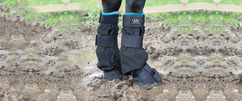 Woof Wear Mud Fever Boots - EveryDay Equestrian