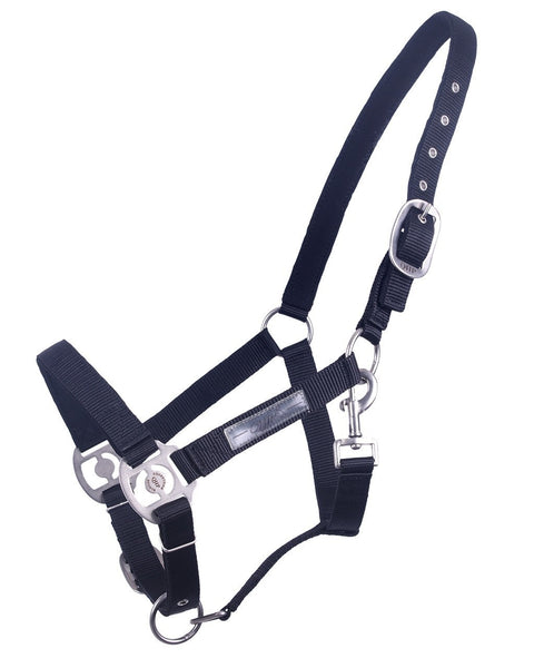 QHP Lined Halter - EveryDay Equestrian