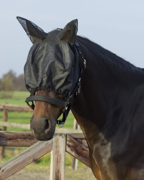 QHP Halter Fly Mask Combo with Ears - EveryDay Equestrian