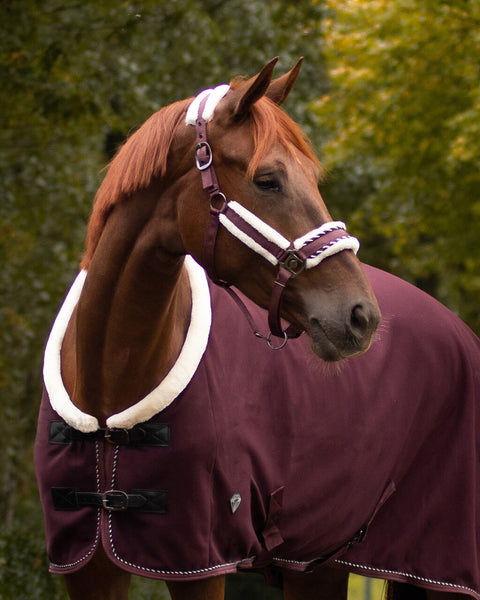 QHP Diamond Halter - EveryDay Equestrian