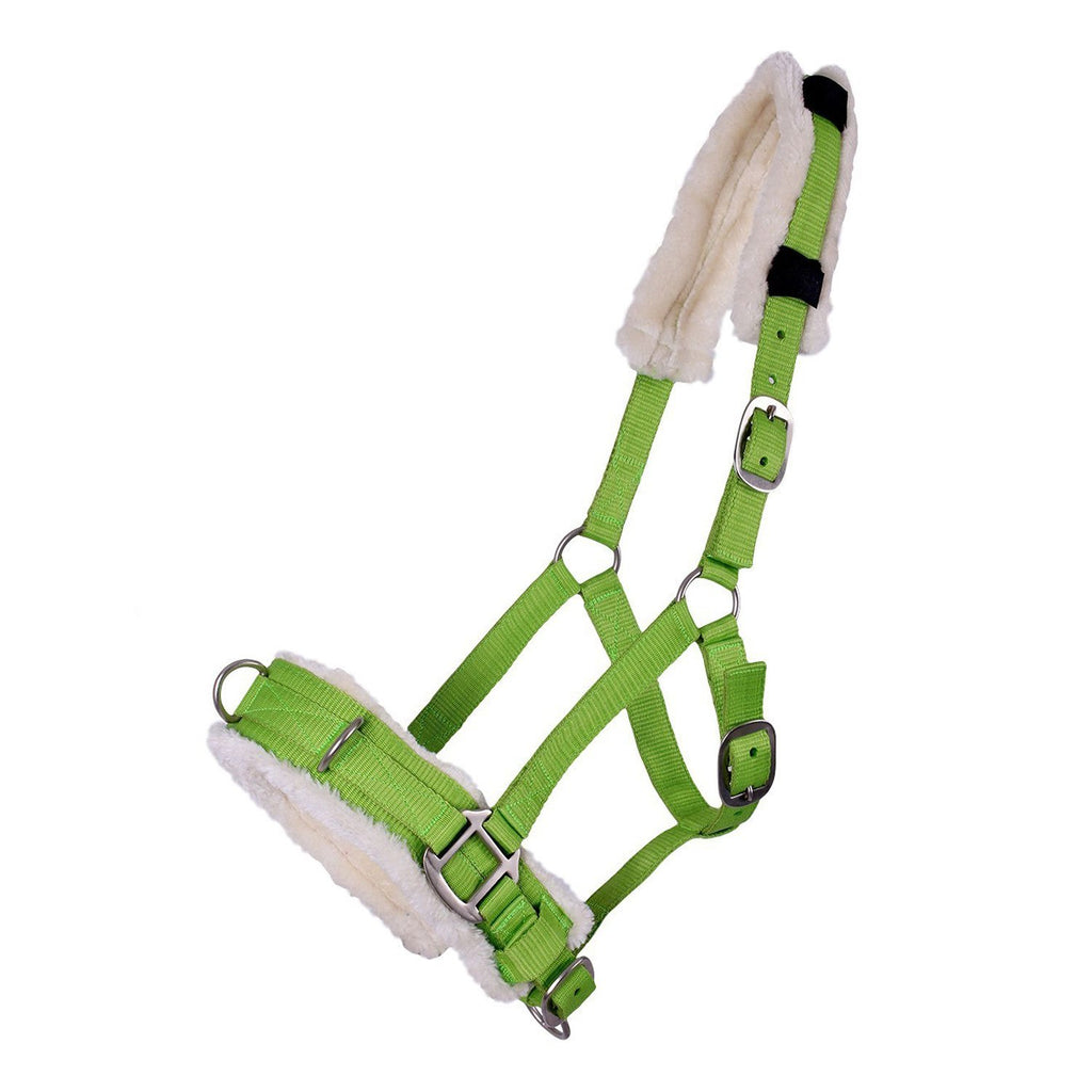 QHP Lunge Cavesson EveryDay Equestrian