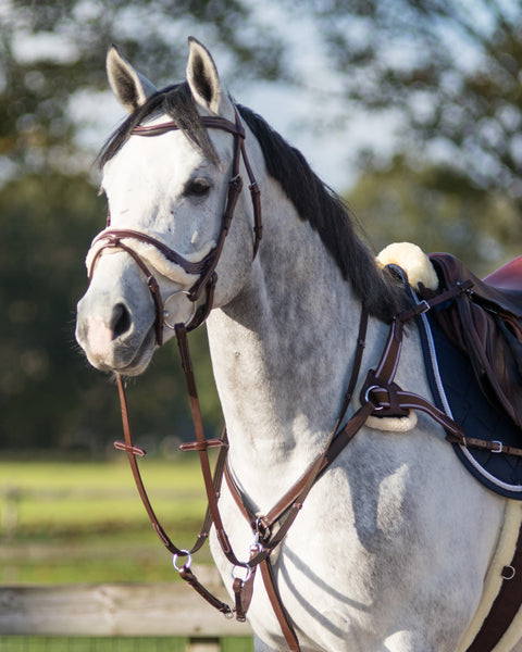 QHP Ontario Breastplate - EveryDay Equestrian