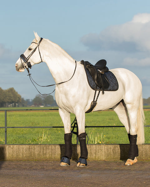 QHP Metallic Glitz Dressage Pad - EveryDay Equestrian
