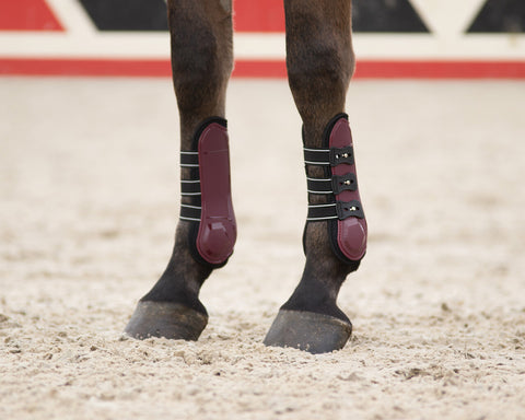 QHP Champion Tendon Boots - EveryDay Equestrian